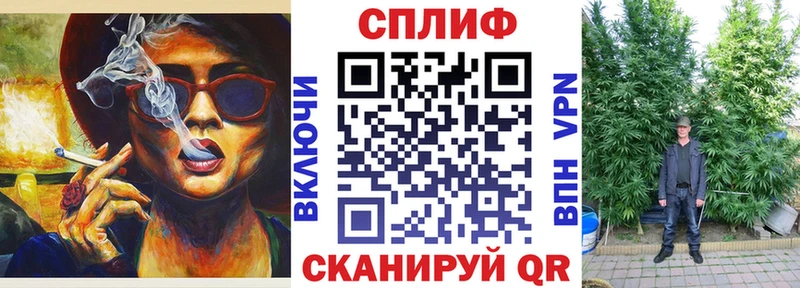 где купить наркотик  blacksprut ТОР  Бошки марихуана ГИДРОПОН  Дрезна 